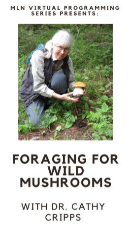 Foraging for Wild Mushrooms