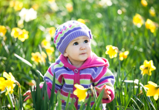 Toddler with daffodils